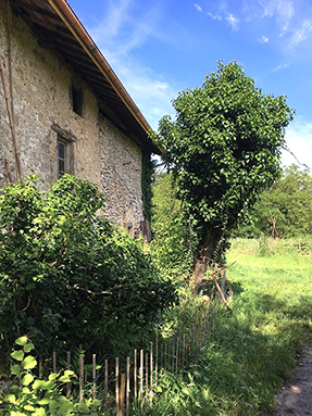logis5